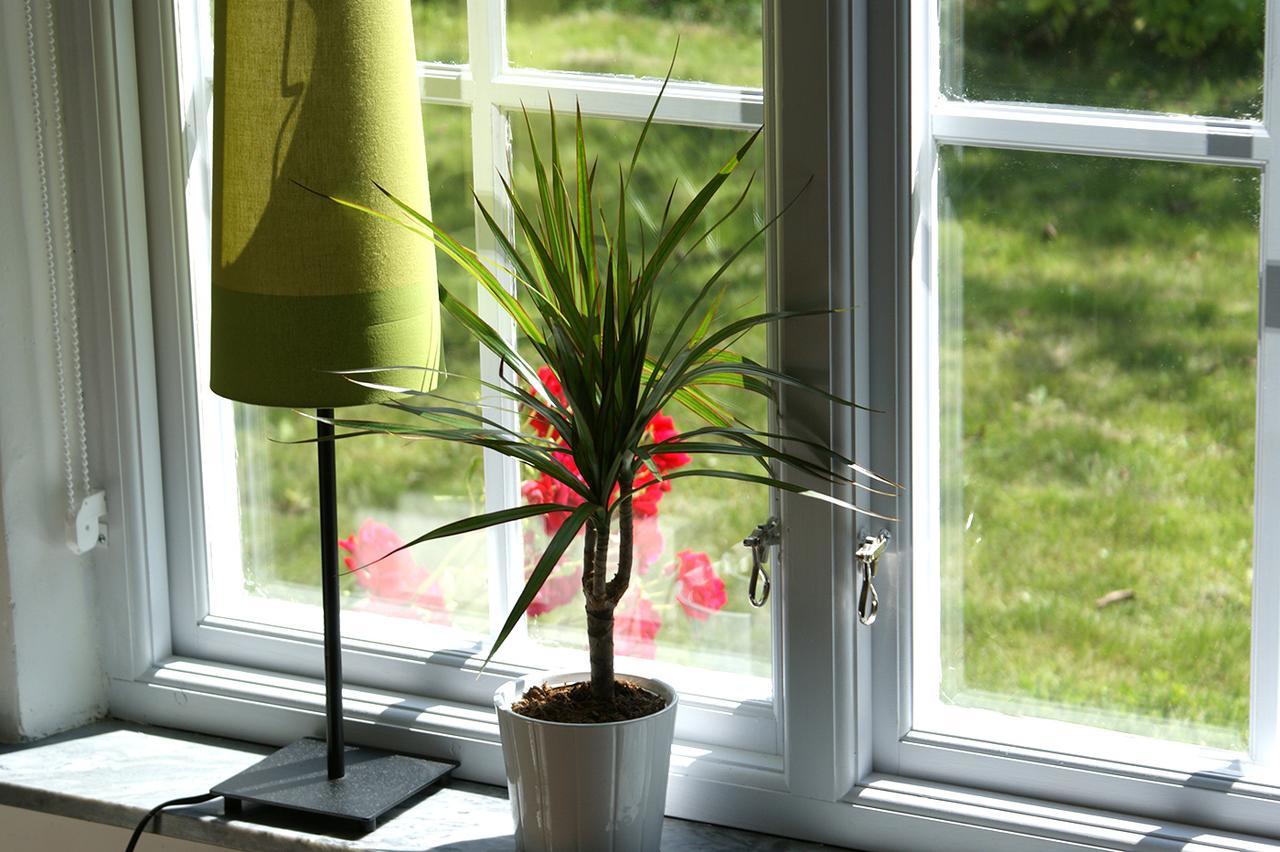 Ejagården B&B en suite Kåseberga Eksteriør bilde